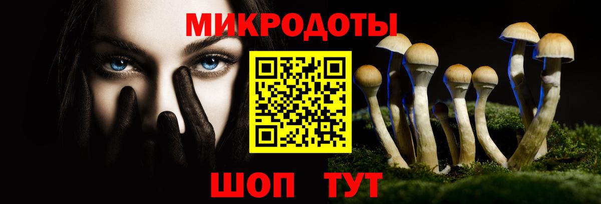 Кинель  Псилоцибиновые грибы MAGIC MUSHROOMS  Вход с VPN 